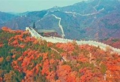 优化版DJI86：探索飞行精彩，尽享高品质无人机体验！