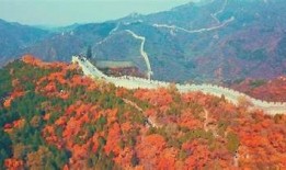 优化版DJI86：探索飞行精彩，尽享高品质无人机体验！