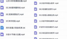 老司机分享：抖音优化技巧揭秘，助你提升账号曝光率与粉丝互动