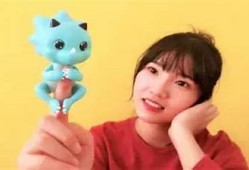 海边小鸟抖阴可爱视频：萌趣动画带你领略自然之美