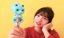 海边小鸟抖阴可爱视频：萌趣动画带你领略自然之美