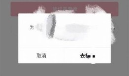 抖阴一键登录无法进入的解决方法与技巧解析