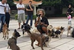 富二代生活曝光：揭秘黄版本背后的奢华与难题
