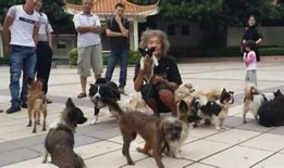 富二代生活曝光：揭秘黄版本背后的奢华与难题