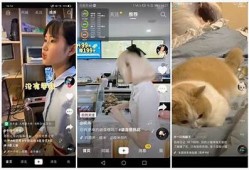 抖音短视频APP破解版下载，轻松畅享海量视频资源