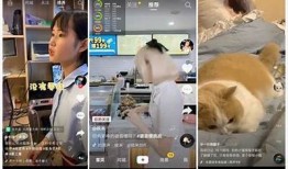 抖音短视频APP破解版下载，轻松畅享海量视频资源