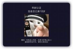 抖阴TV卡密卡号查询方法及最新获取途径分享