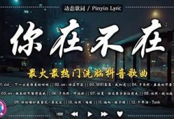 抖音此抖音非彼抖音下载：安全获取热门视频的最佳指南