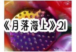 忘忧草抖阴：探索这个神秘植物的神奇疗效与使用