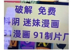 抖阴剖解版：深度解析抖音的运营与流量获取技巧