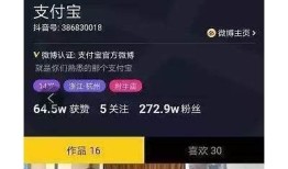探索抖阴TiVaApp的独有魅力与实用功能