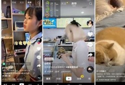下载抖阴：畅享全新短视频体验，轻松获取热门内容！