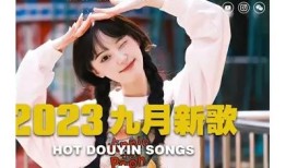 抖阴流行音乐推荐：盘点2023年最受欢迎的热门单曲