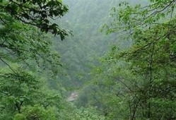 铜仁万山麻阴塘自然风光抖音视频分享，尽享美丽乡村之旅