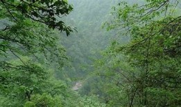 铜仁万山麻阴塘自然风光抖音视频分享，尽享美丽乡村之旅