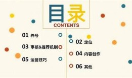 抖音Pro短视频创作全攻略：轻松打造爆款短视频
