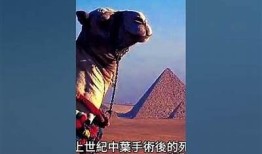 此抖阴非彼抖音：探秘短视频平台的另一面