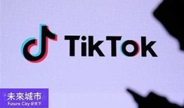 抖音平台存在的潜在风险与应对措施研究