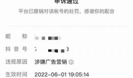 如何安全下载黄版本抖音：详细步骤与注意事项