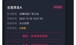 抖音是否遭遇封禁？最新消息与检视揭秘