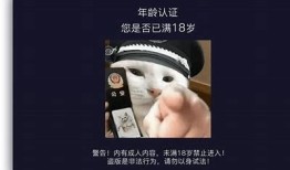 揭秘抖阴小视频中的丝瓜视频，带你领略不一样的精彩内容