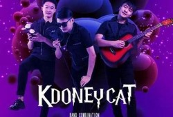 猫咪与抖音：如何拍摄猫咪视频吸引更多粉丝
