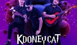 猫咪与抖音：如何拍摄猫咪视频吸引更多粉丝