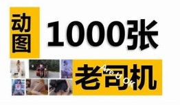 老司机带你探秘抖阴区内幕，揭秘不为人知的网络趣闻与故事