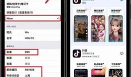 如何在苹果手机上安装抖音使用的详细步骤指南