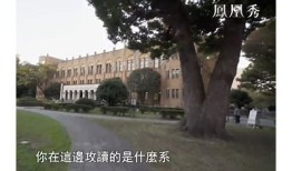 探索抖阴蜜桃网：带你畅游最新资讯与娱乐潮流
