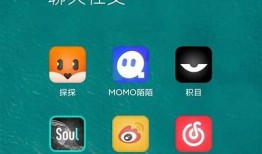 有哪些类似抖阴的社交软件值得推荐？