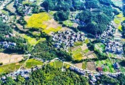 赣州市赣县区沙地镇抖阴：探索乡村振兴与地方特色发展