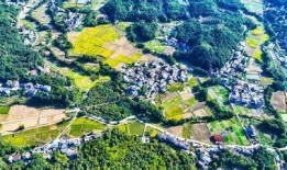 赣州市赣县区沙地镇抖阴：探索乡村振兴与地方特色发展