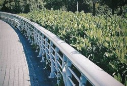 记录生活点滴，分享美好时光——抖阴带你发现生活的精彩瞬间