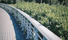记录生活点滴，分享美好时光——抖阴带你发现生活的精彩瞬间