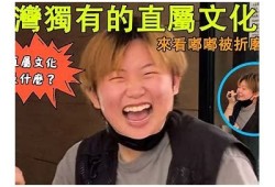 抖阴台湾：探索台湾独有的文化与魅力之旅