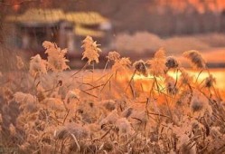 抖阴：让烦恼随风而去，轻松开启快乐生活的方式