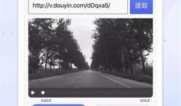 深度解析抖阴535：如何在短视频时代快速引流与变现