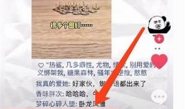 快手与抖音：短视频平台的竞争与发展方向调查