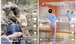 抖音短视频平台揭秘：如何高效提升你的内容创作与粉丝互动