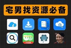 老司机推荐：抖阴、QQ、菜鸟网资源完整解析与使用指南