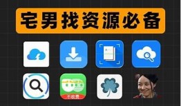 老司机推荐：抖阴、QQ、菜鸟网资源完整解析与使用指南