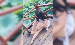 老司机APP抖阴破解版下载：安全快捷的使用指南与体验分享