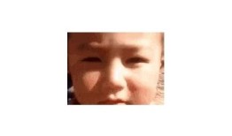 快猫揭秘：下载GIF抖阴技巧与世界记录全解析