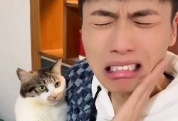 喵咪抖阴：揭秘猫咪搞笑瞬间与可爱行为