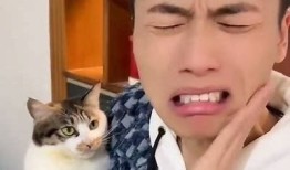 喵咪抖阴：揭秘猫咪搞笑瞬间与可爱行为