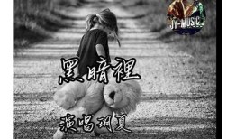 阴光照耀下的抖音视频：展现特有的生活美学与情感