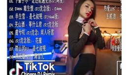 抖阴DJib官网：最新DJ音乐分享平台，尽享热曲与精彩活动！