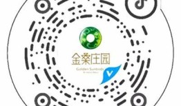 最新抖音直播二维码获取指南，教你轻松找到直播入口！