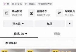 抖音博士：揭秘短视频平台的运营秘籍与成功案例研究